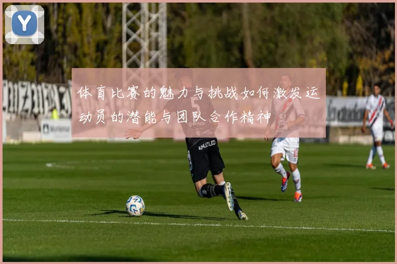 体育比赛的魅力与挑战如何激发运动员的潜能与团队合作精神