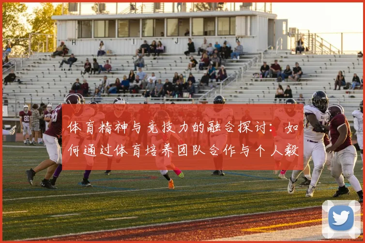 体育精神与竞技力的融合探讨：如何通过体育培养团队合作与个人毅力