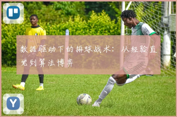 数据驱动下的排球战术：从经验直觉到算法博弈