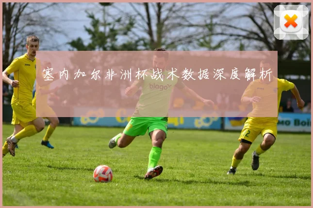 塞内加尔非洲杯战术数据深度解析