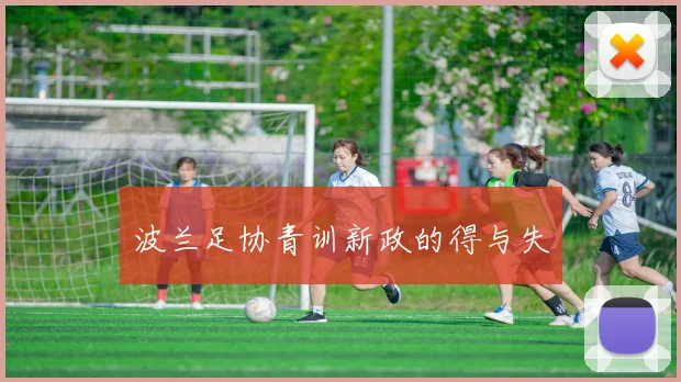 波兰足协青训新政的得与失