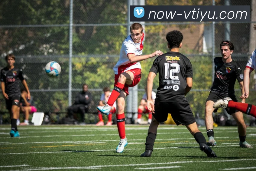 多媒体互动体验